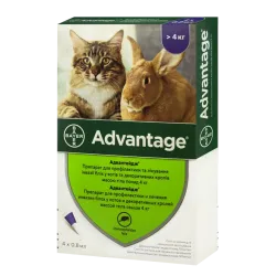 Краплі від бліх для котів більше 4 кг Bayer Advantage (Адвантейдж) 4 шт/уп