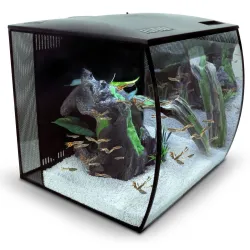 Акваріумний набір на 57 л овальний Fluval «Flex» 41*39*39 см чорний