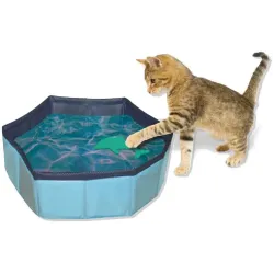 Бассейн для кота надувний вініловий Croci PISCINA 30*10 см + 2 іграшки