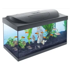 Акваріум прямий на 54 л Tetra Starter Line Tank Led чорний (комплект)